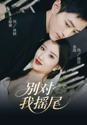 别对我摇尾（59集）热门短剧在线看