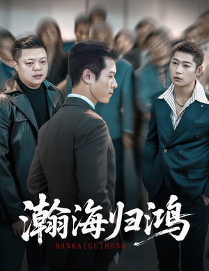 瀚海归鸿(74集) 瀚海归鸿(74集)短剧看全集