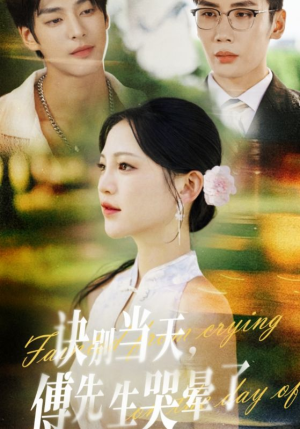 诀别当天傅先生哭晕了（62集）解说文案