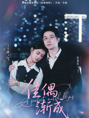 佳偶渐成(71集) 佳偶渐成(71集)好看到停不下来