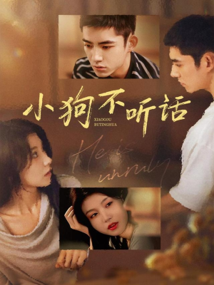 小狗不听话(70集) 小狗不听话(70集)经典回顾免费看