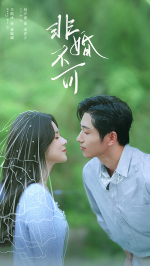 非婚不可（65集）爆款短剧抢先看