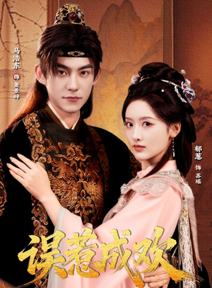 误惹成欢（70集）全集在线看