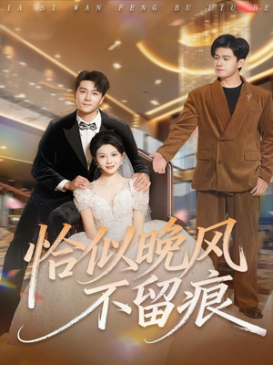 恰似晚风不留痕（61集）免费短剧资源