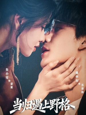 当归遇上野格（66集）火热短剧抢先看