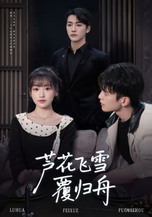 芦花飞雪覆归舟(77集) 芦花飞雪覆归舟(77集)女频短剧推荐