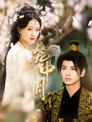 笼中月（65集）更新时间