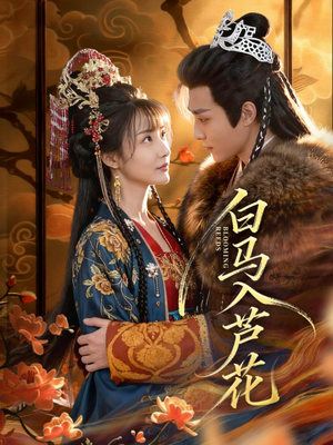 白马入芦花(59集) 白马入芦花(59集)热门短剧追到爽