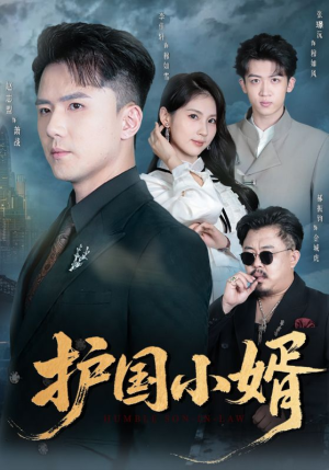护国小婿(60集) 护国小婿(60集)免费看全集