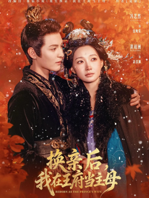 换亲后,我在王府当主母(80集) 换亲后,我在王府当主母(80集)大结局完美收官