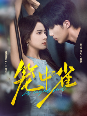 笼中雀（65集）太好看了短剧