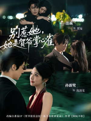 别惹她，她是贺爷掌心雀（69集）看到大结局