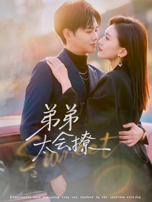 弟弟太会撩(81集) 弟弟太会撩(81集)短剧越看越精彩