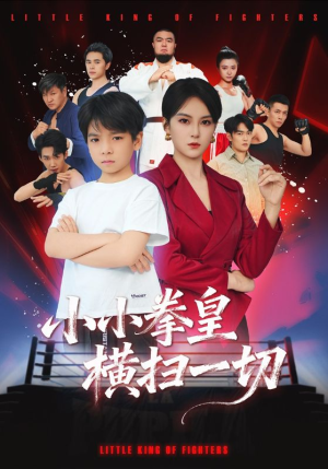 小小拳皇横扫一切（60集）在线看完整版