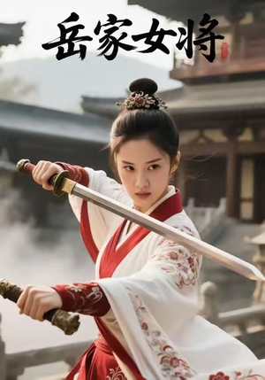 岳家女将（20集）短剧热门分享