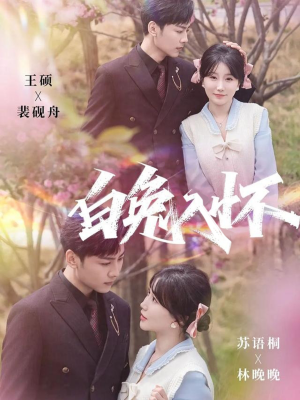 白兔入怀（60集）集免费看短剧