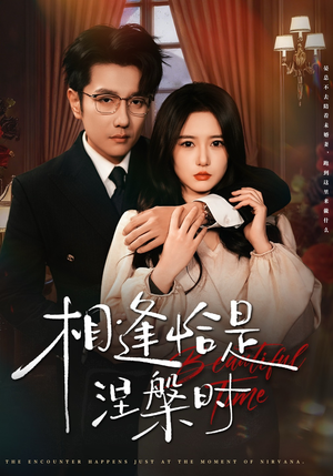 相逢恰是涅槃时（63集）最新热剧免费看