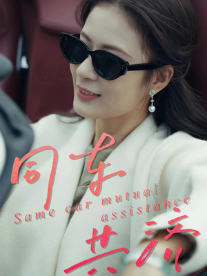 同车共济（39集）免费短剧看全集