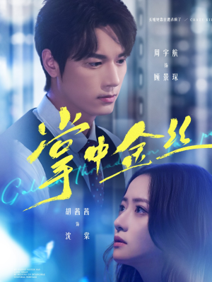 掌中金丝(60集) 掌中金丝(60集)这短剧太好看了