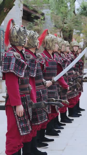 本王在此（72集）女主角是谁