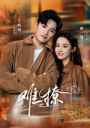 难撩（100集）短剧小说在线看