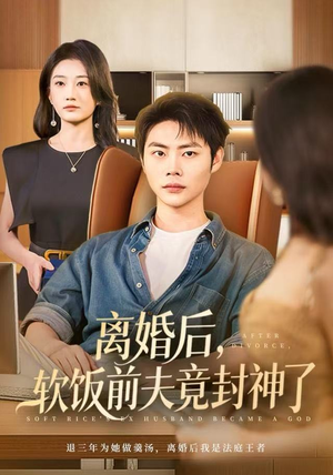 离婚后，软饭前夫竟封神了（78集）短剧在哪里看
