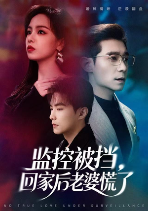 监控被挡,回家后老婆慌了(60集) 监控被挡,回家后老婆慌了(60集)热门短剧榜单