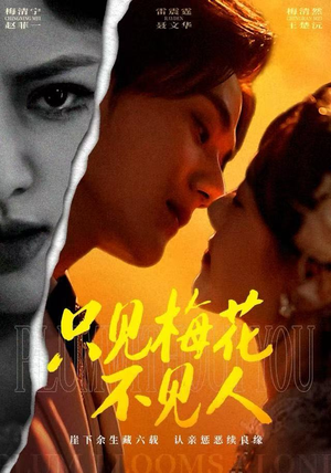 只见梅花不见人（63集）分享好看短剧