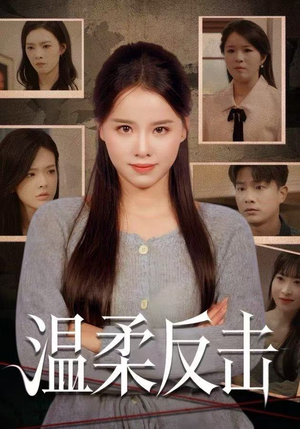 温柔反击(66集) 温柔反击(66集)免费在线看