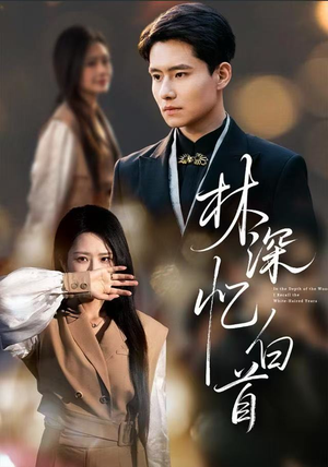 林深忆白首(60集) 林深忆白首(60集)全集都在这里了