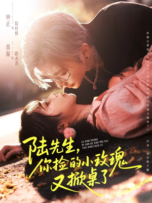 陆先生,你捡的小玫瑰又掀桌了(74集) 陆先生,你捡的小玫瑰又掀桌了(74集)最新短剧抢先看