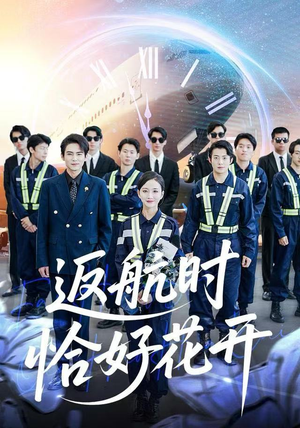 返航时恰好花开（101集）全集