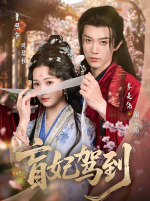 盲妃驾到(65集) 盲妃驾到(65集)最后一集