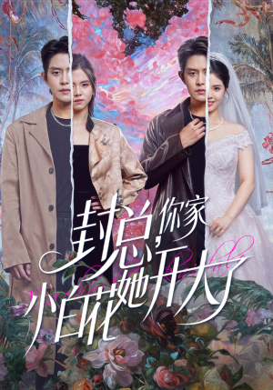 大佬你的牙粘口红了(60集) 大佬你的牙粘口红了(60集)男频短剧推荐