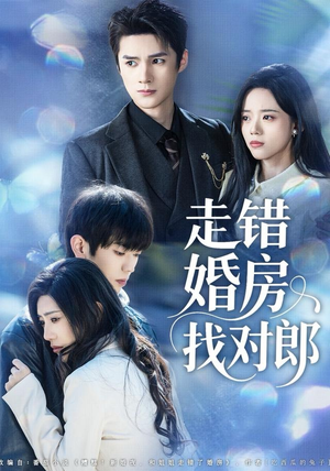 走错婚房找对郎（50集）好看短剧看不停