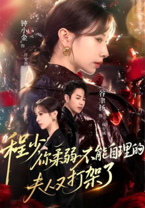 程少你柔弱不能自理的夫人又打架了（60集）全剧免费观看