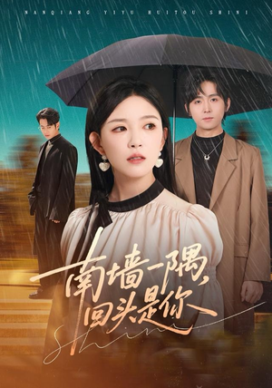 南墙一隅，回头是你（61集）百度网盘在线看