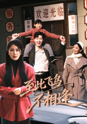 至此飞鸟不相逢（70集）全集都在这里了