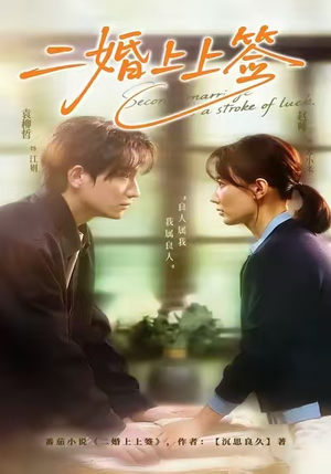 二婚上上签（71集）火爆热门短剧