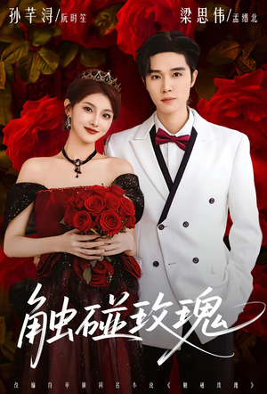 触碰玫瑰（80集）短剧