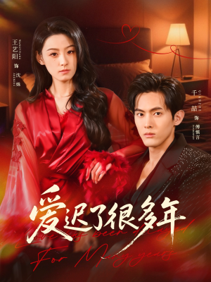 爱迟了很多年（73集）免费短剧推荐