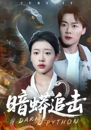 暗蟒追击（35集）免费短剧全集看