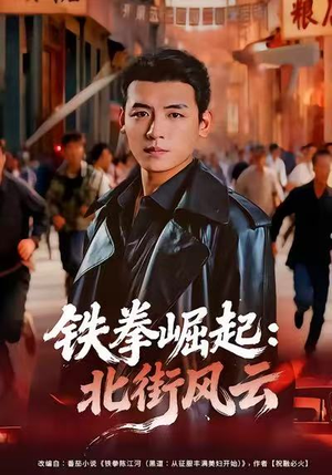 铁拳崛起:北街风云(80集) 铁拳崛起:北街风云(80集)全季一次看完