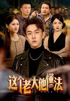这个老大他懂法(100集) 这个老大他懂法(100集)我真的爱了