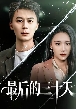 最后的三十天(52集) 最后的三十天(52集)完整版免费观看