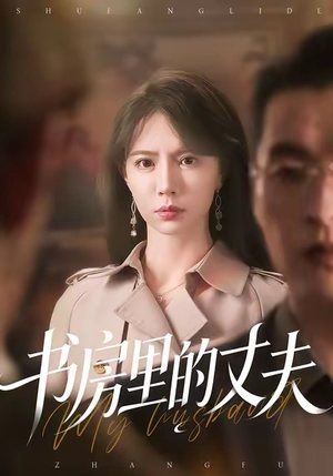 书房里的丈夫（100集）在哪看