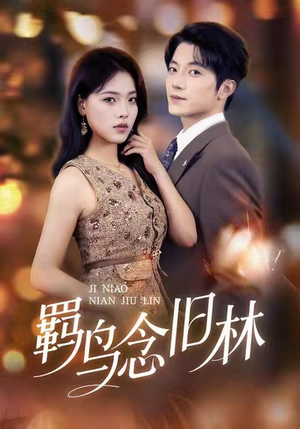 羁鸟念旧林（60集）演的怎么样