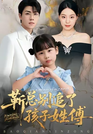 靳总别追了，孩子姓傅（51集）全集一网打尽