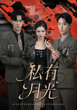 私有月光（78集）一口气看完全集