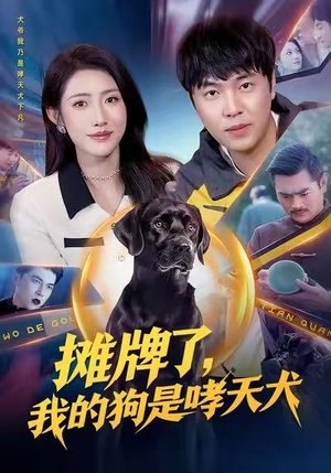 摊牌了，我的狗是哮天犬（98集）在线看完整版